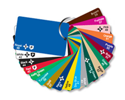 Holiday Card Backs