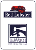 Custom Business Cards - Red Lobster